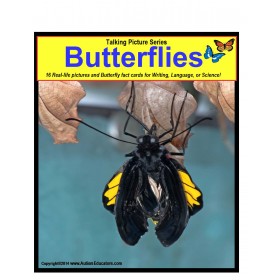 Butterflies: Talking Pictures Series